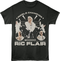 World Champion Wooooo! Ric Flair T-Shirt Hoodie, Sweatshirt | CiraTrend.com (Image 1)