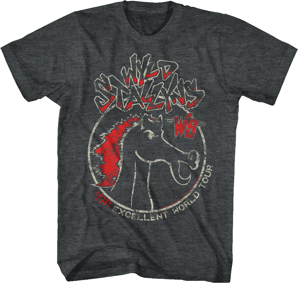 Wyld Stallyns Most Excellent World Tour Bill and Ted T-Shirt Hoodie, Sweatshirt | CiraTrend.com (Image 1)