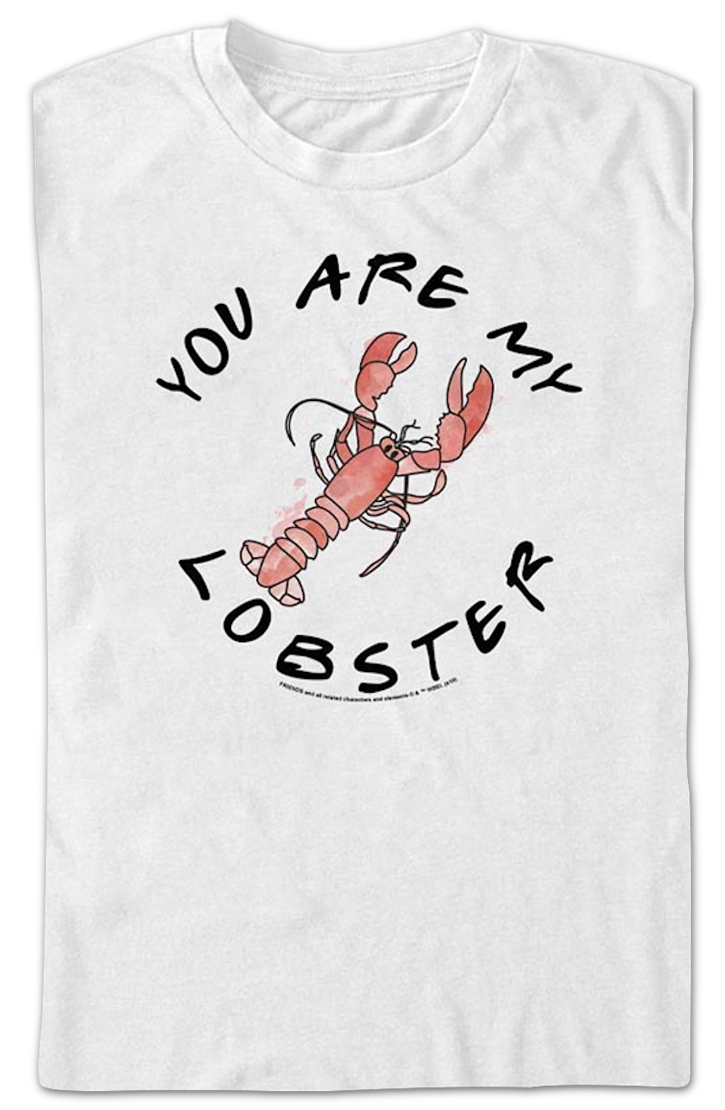 You Are My Lobster Friends T-Shirt Hoodie, Sweatshirt | CiraTrend.com (Image 2)