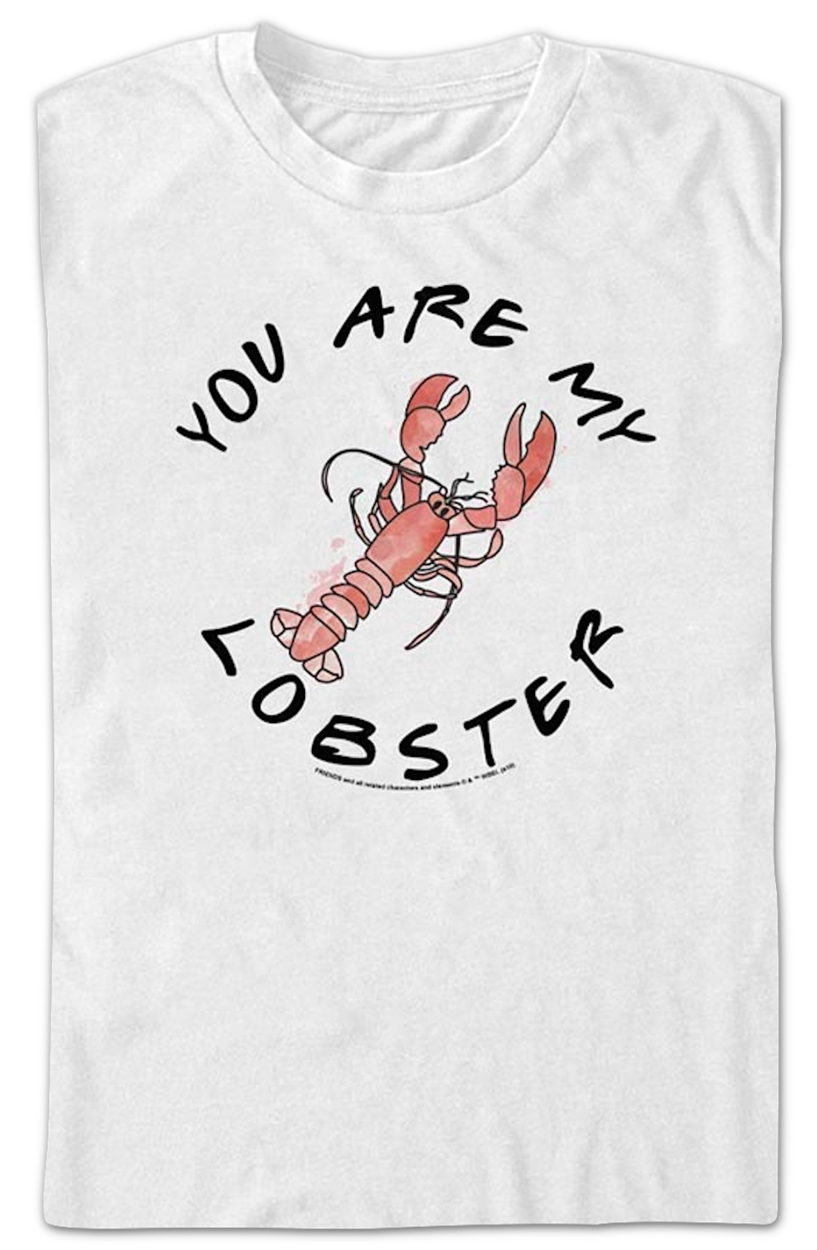 You Are My Lobster Friends T-Shirt Hoodie, Sweatshirt | CiraTrend.com (Image 2)