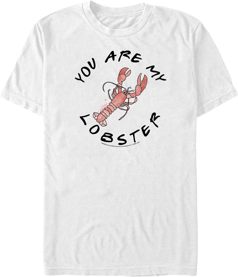 You Are My Lobster Friends T-Shirt Hoodie, Sweatshirt | CiraTrend.com (Image 1)