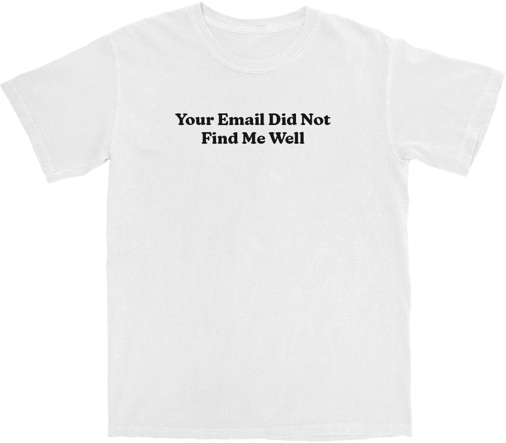 Your Email Didn't Find Me Well T Shirt Hoodie, Sweatshirt | CiraTrend.com (Image 1)