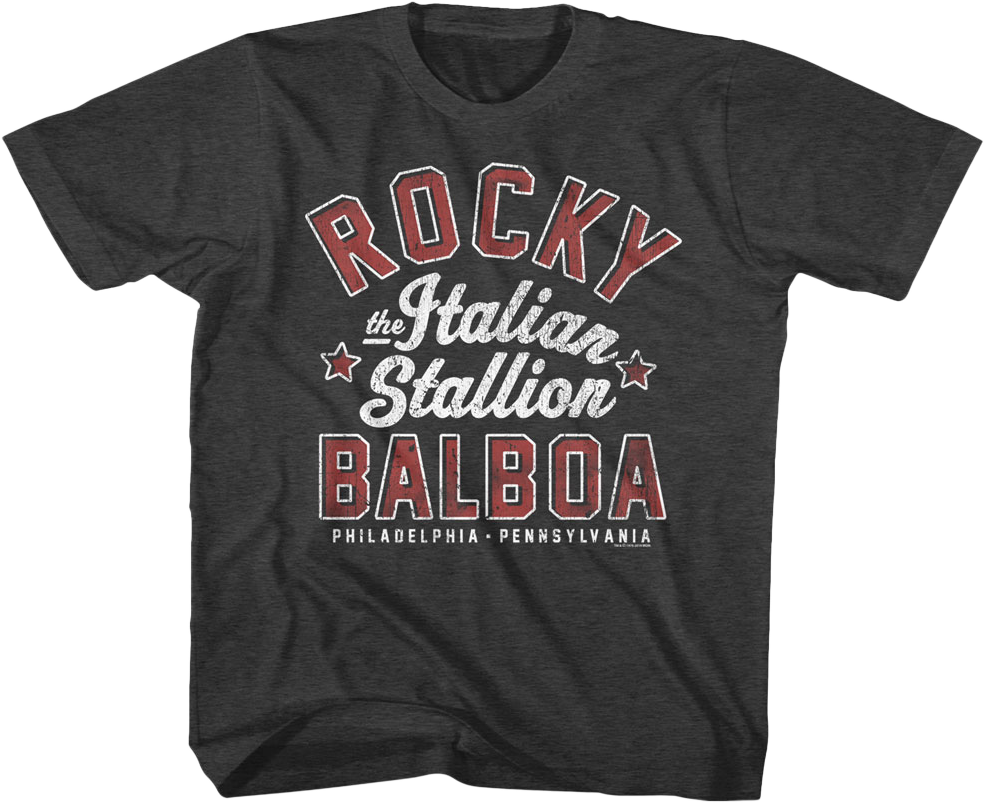 Youth The Italian Stallion Rocky Balboa Shirt Hoodie, Sweatshirt | CiraTrend.com (Image 1)